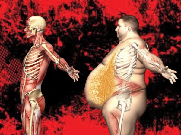 Menos panza, más mente clara: la ciencia confirma que reducir la grasa abdominal protege el cerebro a largo plazo