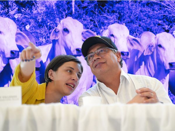 "Bajaremos la carne 10 puntos": la promesa de la ministra que los números del sector desmienten