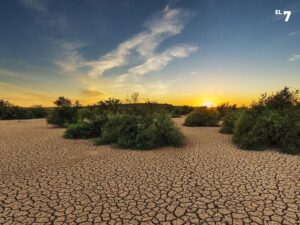 ¿Llega El Niño a Colombia? Todo lo que necesitas saber